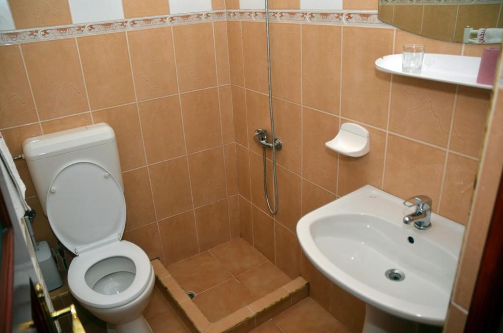 Pensiunea La Palaguta Baia Mare Zimmer foto
